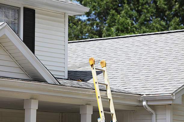 Best Demolition Debris Removal  in Lexington, MS