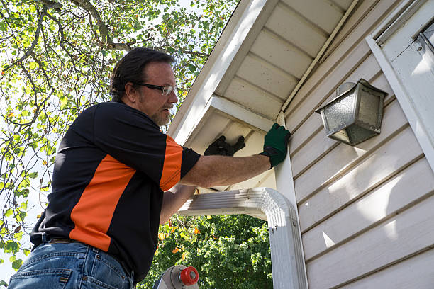 Best Carpet Removal and Disposal  in Lexington, MS